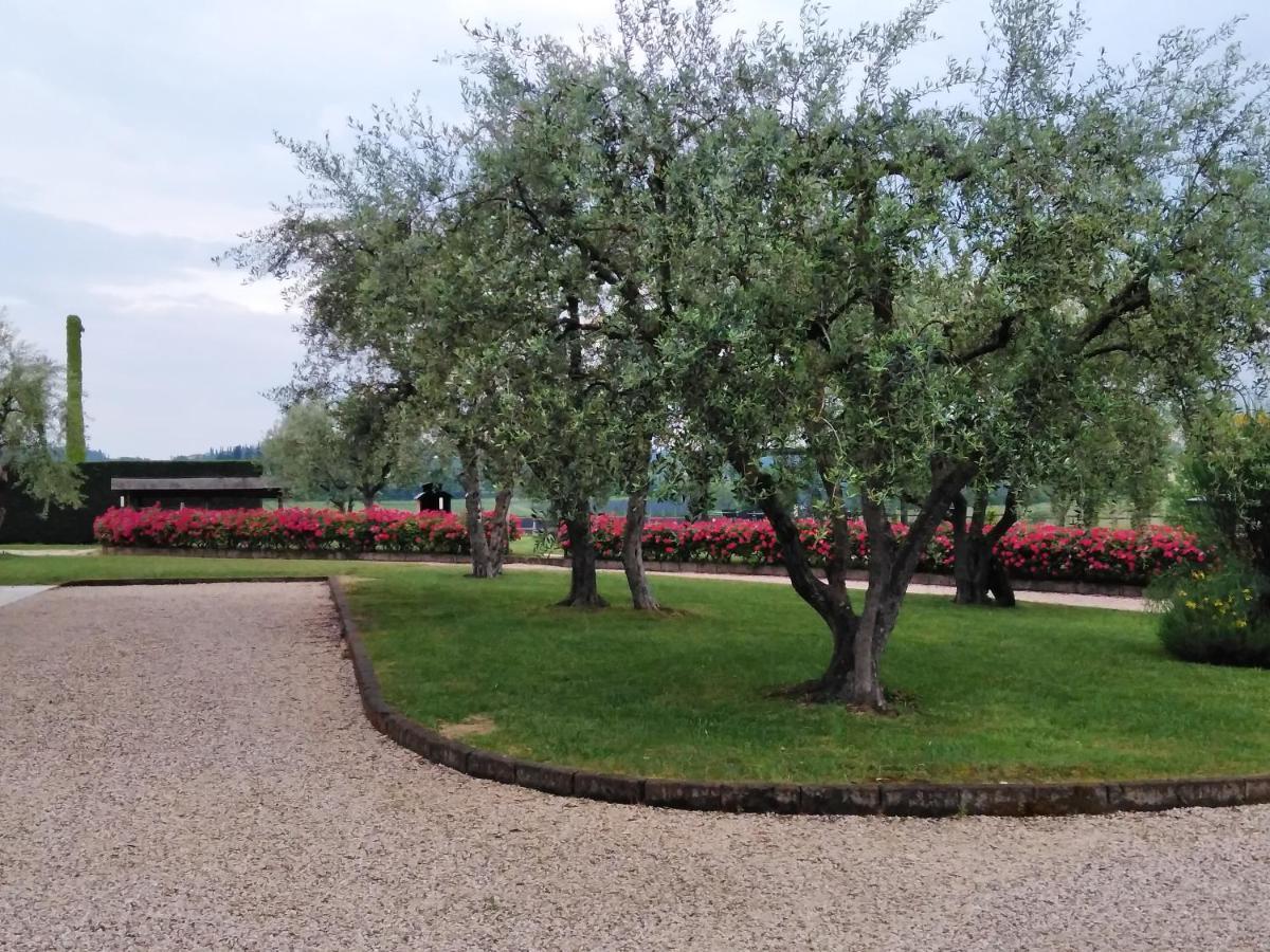Agriturismo Le Ginestre Лацизе Екстериор снимка
