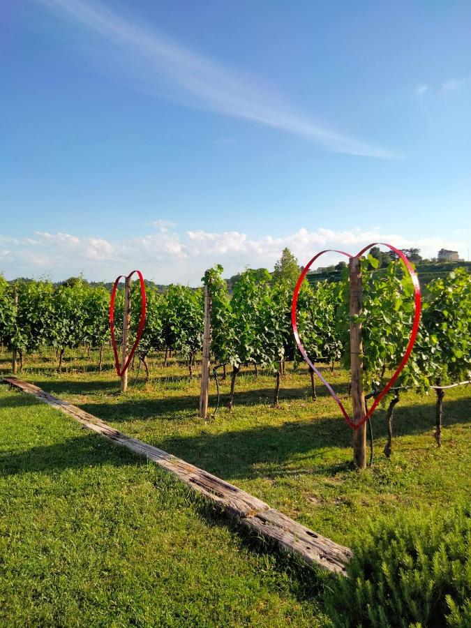 Agriturismo Le Ginestre Лацизе Екстериор снимка